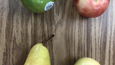 25 Activities, Ideas, & Resources 25 Activities, Ideas, & Resources