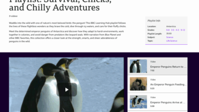 Awesome Free Classroom Videos With Lesson Plans Awesome Free Classroom Videos With Lesson Plans