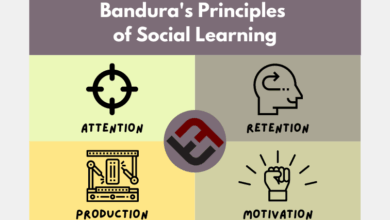 Bandura’s 4 Principles Of Social Learning Theory Bandura’s 4 Principles Of Social Learning Theory