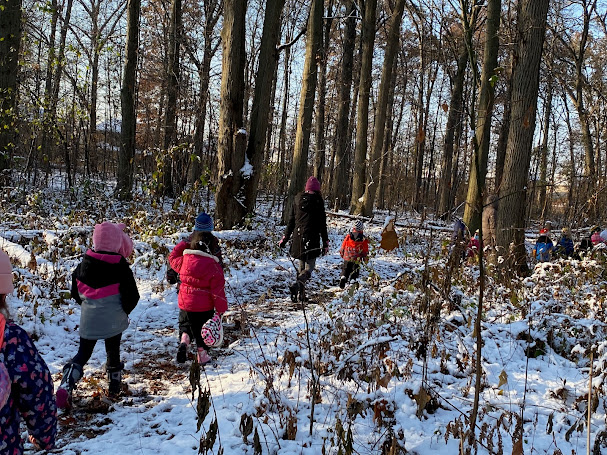 Joyful Learning in the Early Years: Virtual Bird Count