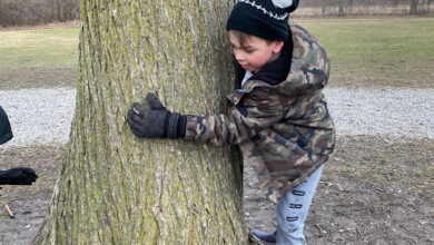 Five Free Printables to Use with Tree Math