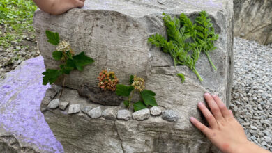 Joyful Learning in the Early Years: STEAM in the Garden
