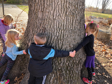 Cultivating a Mathematically Rich Learning Space