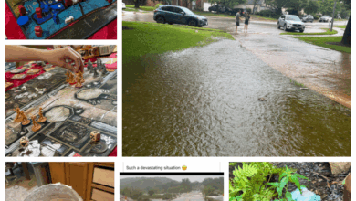 July in Review – Adventures in a Messy Life July in Review – Adventures in a Messy Life