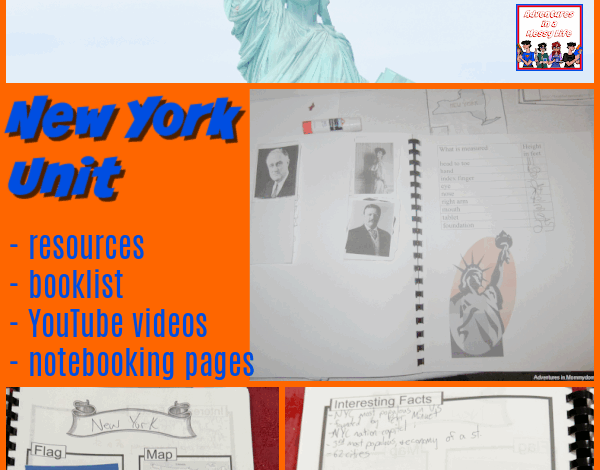 50 State Study: New York 50 State Study: New York