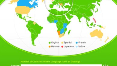 Infographic: “Ranked: Duolingo’s Most Popular Languages in Every Country in 2024”