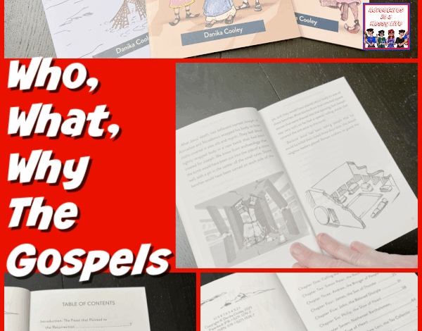 Who What Why The Gospels