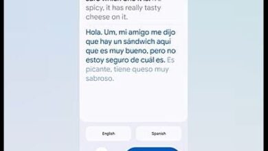 Google Unveils Two Language Tools – One Can Be Very Helpful, The Other Not So Much