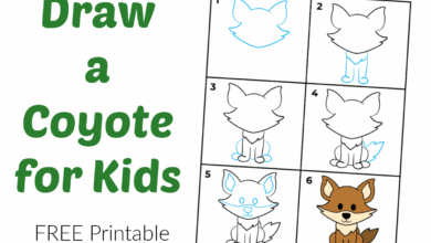 Step by Step How to Draw an Easy Coyote for Kids