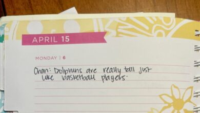 How This Daily Record Became My Favorite Classroom and Parenting Hack How This Daily Record Became My Favorite Classroom and Parenting Hack