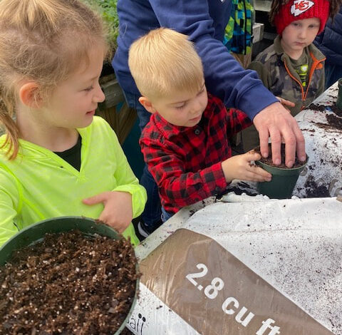 Field Trip to Springwater Greenhouse