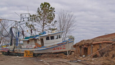 Hurricane Katrina Hit Twenty Years Ago – Here Are Teaching & Learning Resources