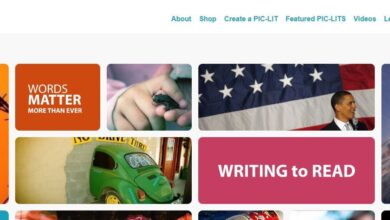 A Look Back: Pic-Lits | Larry Ferlazzo’s Websites of the Day…