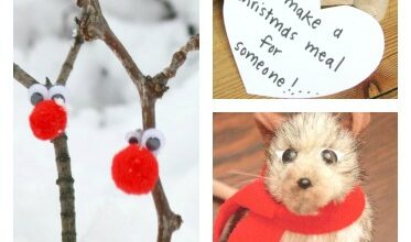 7 Cute and Kind alternatives to Elf On The Shelf
