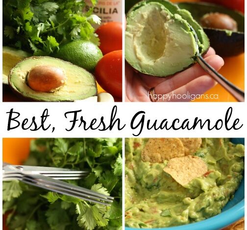 Easy Guacamole Recipe with Fresh Ingredients Easy Guacamole Recipe with Fresh Ingredients