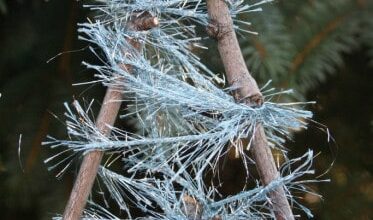 Twig Tree Ornaments for Kids to Make Twig Tree Ornaments for Kids to Make