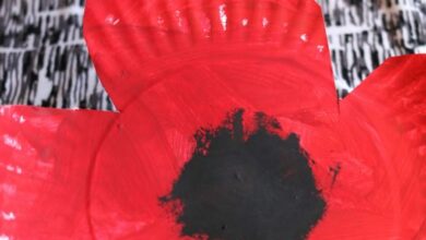 Paper Plate Poppy Craft for Preschool