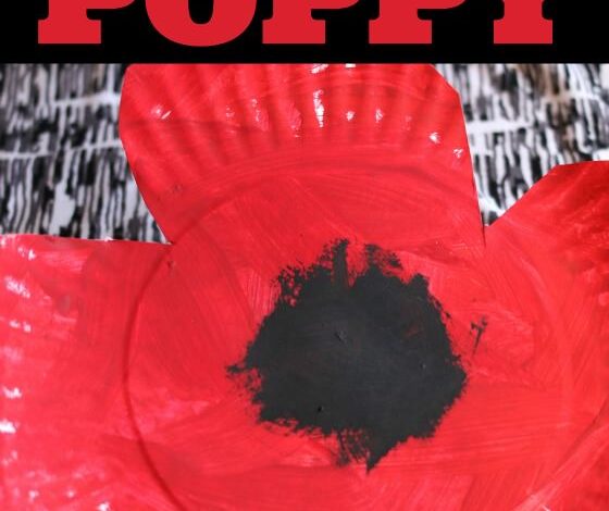 Paper Plate Poppy Craft for Preschool Paper Plate Poppy Craft for Preschool