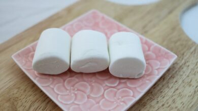 A Look Back: This Is A VERY Interesting & Helpful (Especially To Teachers) Take On The Marshmallow Test