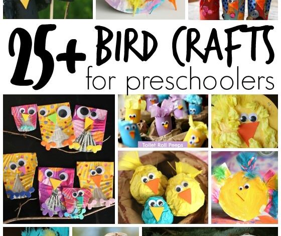 25+ Easy Bird Crafts for Preschoolers