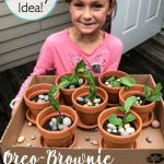 Adorable, Easy Oreo-Brownie Flowerpot Cakes