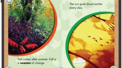 Celebrate Autumn with Young Learners: Fall Activities for Kids Ages 2–8