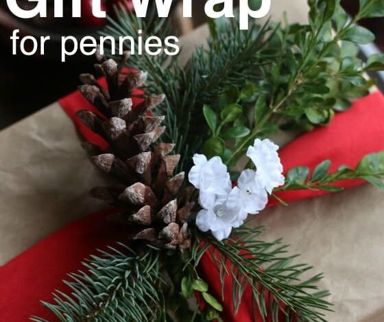 Gorgeous Inexpensive Brown Paper Gift Wrap Idea