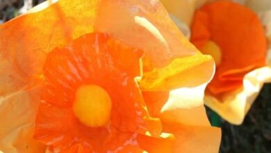 Coffee Filter Daffodils – Happy Hooligans