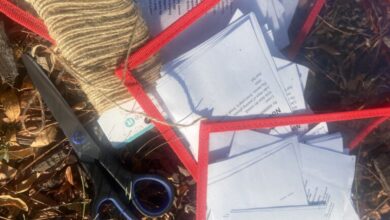 How To Create a Story Walk How To Create a Story Walk