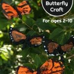 Monarch Butterfly Craft with Painted Coffee Filters Monarch Butterfly Craft with Painted Coffee Filters