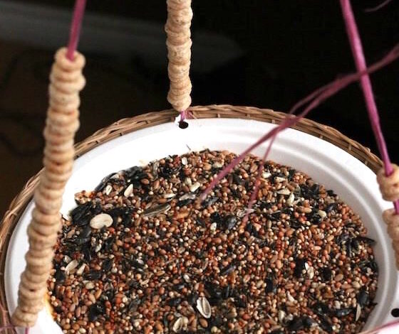 Paper Plate Bird Feeder for Kids to Make