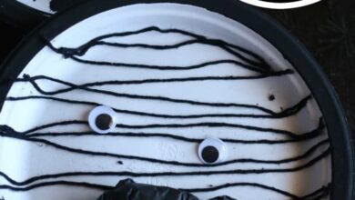 Paper Plate Zebra Craft for Preschoolers Paper Plate Zebra Craft for Preschoolers