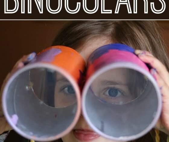 Pringles Can Binoculars Craft for Preschoolers