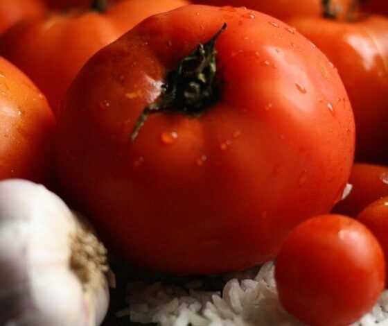 Best Homemade Tomato Soup Recipe