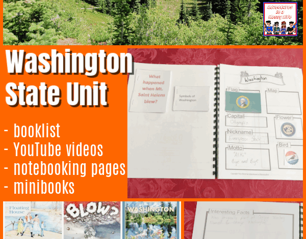 Washington state unit – Adventures in a Messy Life