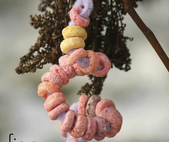 Fruit Loops Ornaments for Toddlers and Preschooler to Make
