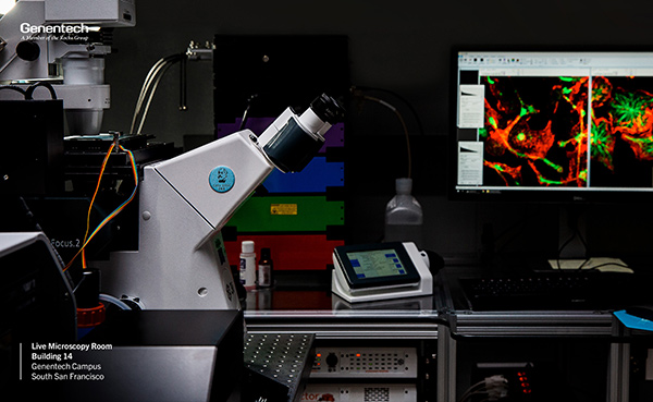 Developing STEM Culture – Industry Today