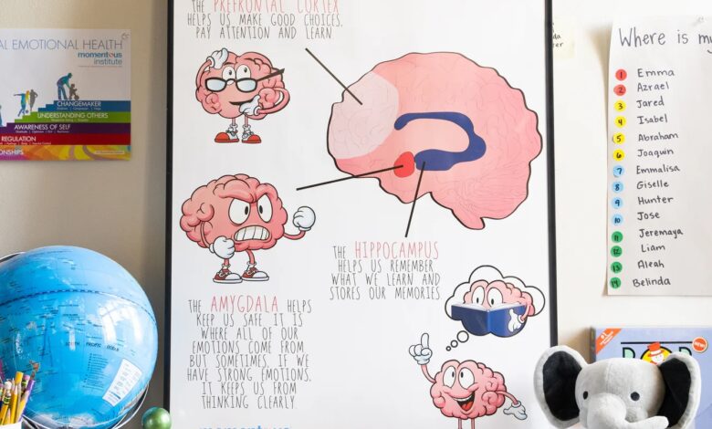 The Benefits of Teaching Young Kids How Their Brains Work The Benefits of Teaching Young Kids How Their Brains Work