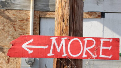 A Look Back: New Research Shows Why Social Emotional Learning (SEL) and Character Education Are Not Enough