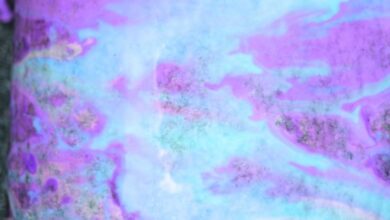 Rock Painting with 3 Ingredient Sidewalk Paint Rock Painting with 3 Ingredient Sidewalk Paint