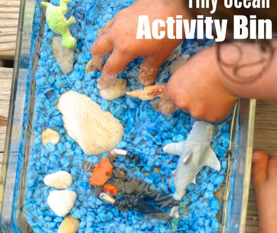 Small Ocean Sensory Bin for Toddlers and Preschoolers