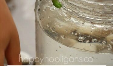 Water Displacement Activity – Science Experiment for Kids