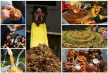 10 Fun Fall Activities for the Backyard