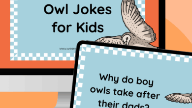 80 Owl Jokes That Are a Hoot