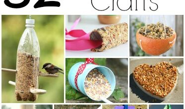 32 Easy Homemade Bird Feeders