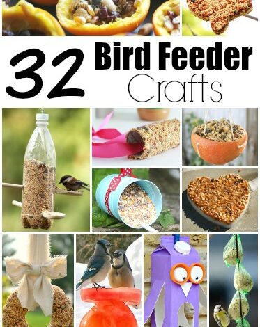 32 Easy Homemade Bird Feeders 32 Easy Homemade Bird Feeders