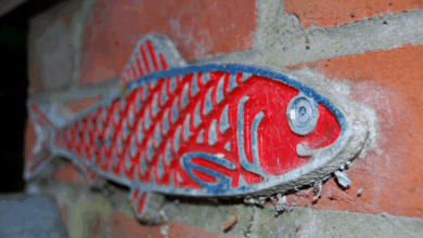 A Look Back: Deliberate Practice & Red Herrings