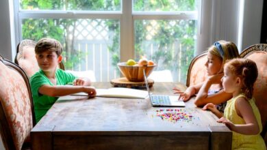 Experts And Former Students Confess Their Honest Thoughts About Unschooling Experts And Former Students Confess Their Honest Thoughts About Unschooling