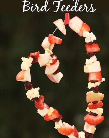 Bird Feeder with Fruit Scraps and Popcorn