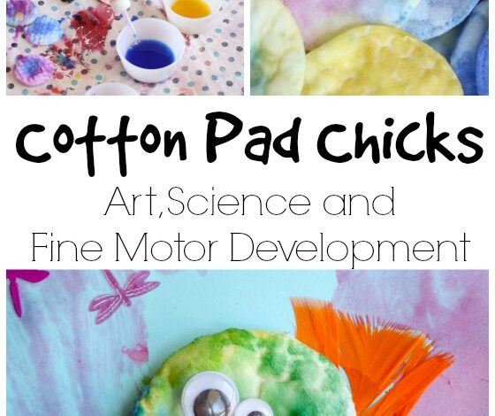 Cotton Pad Chick Craft – Happy Hooligans